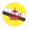 نوجوانان برونئی
